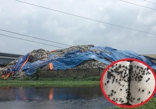 Hà Nam: Nhà máy xử lý rác thải gây ô nhiễm kinh hoàng, hàng nghìn người dân khốn khổ sống trong hôi thối