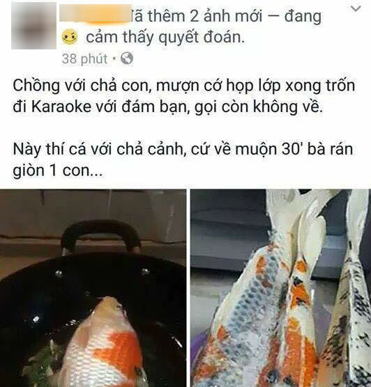 Vợ rán giòn cá cảnh khi chồng đi chơi muộn