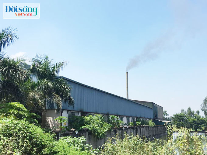 Nhà máy xử lý chất thải gây ô nhiễm môi trường