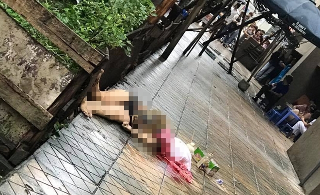 Thai phụ nhảy lầu tự tử ở KĐT Văn Khê Hà Đông