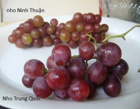 Quả Trung Quốc dễ nhầm lẫn cần chú ý