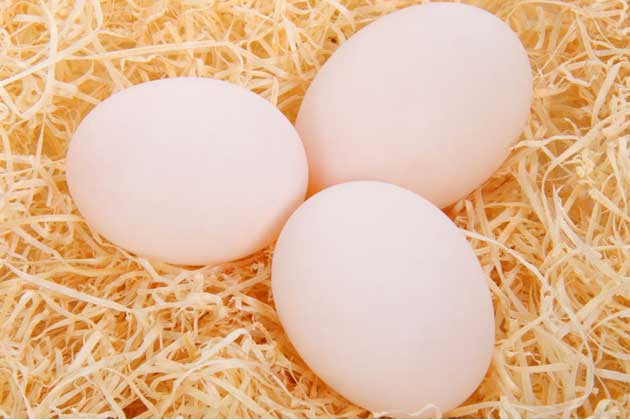 trứng là thực phẩm tăng cân cho người gầy 