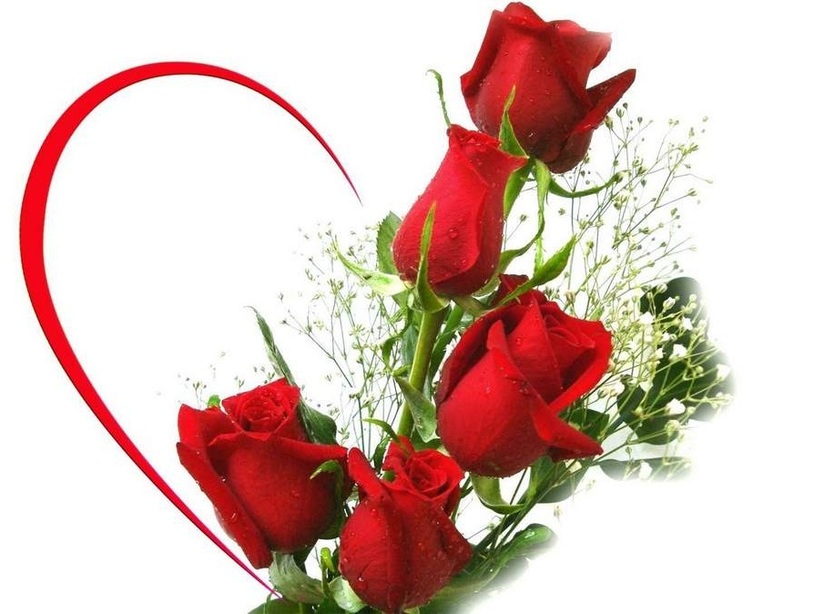 Có những loại Hoa hồng nào đẹp nhất để tặng vào dịp này và làm cách nào để giữ cho Hoa hồng tươi đẹp trong thời gian dài?