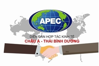 Tuần lễ Cấp cao APEC tại Đà Nẵng chính thức khai mạc