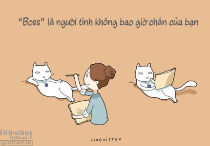 Những sự thật về
