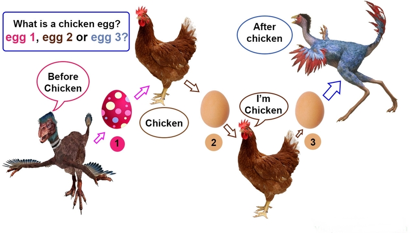 Gà có trước hay trứng có trước từng là câu hỏi gây nhiều tranh cãi