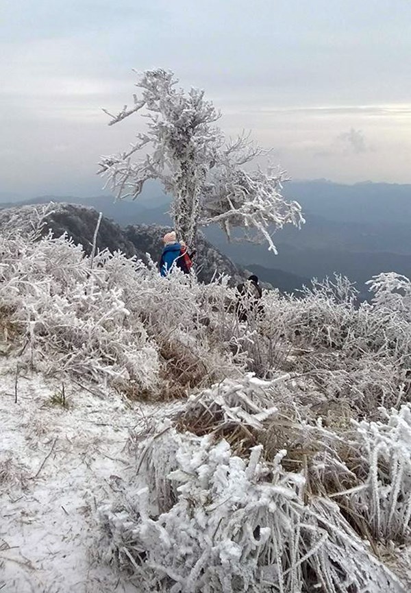 Xuất hiện băng tuyết trên đỉnh Phia Oắc, Cao Bằng 5