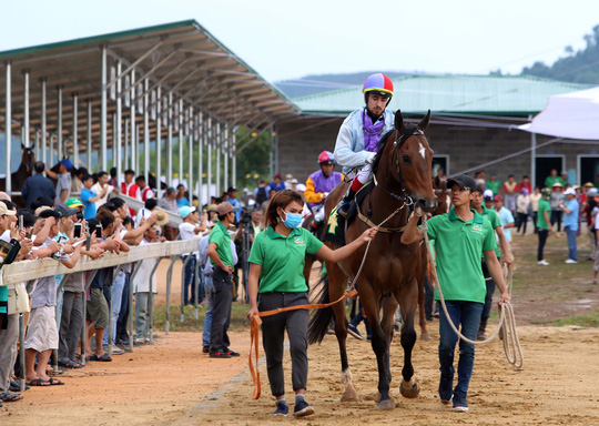 Những chính sách quan trọng có hiệu lực từ tháng 12/2017