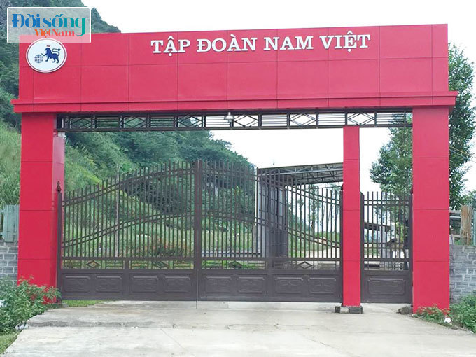 Công ty Cổ phần Nam Việt bị tố xả thải trực tiếp ra môi trường 2