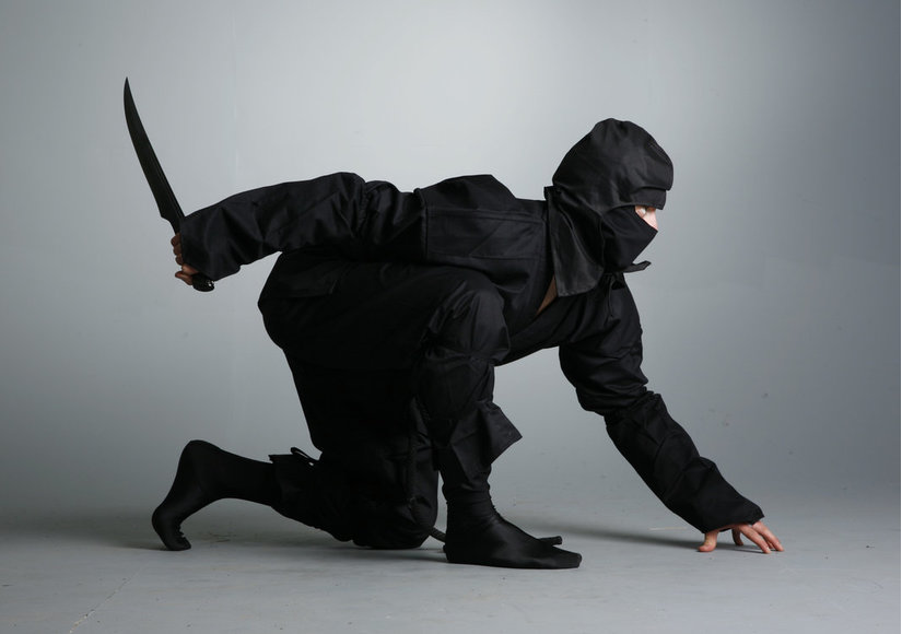 Chiến binh ninja Nhật Bản, lực lượng thiện chiến