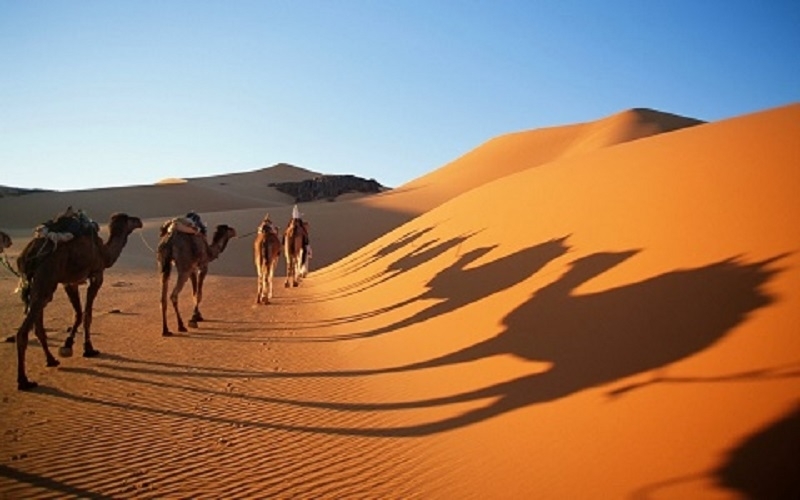 Sa mạc A rập một trong những sa mạc lớn nhất hành tinh