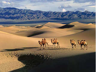 Khám phá những sa mạc lớn nhất hành tinh