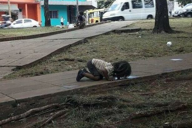 cô bé nghèo quỳ gối liếm vũng nước bên đường