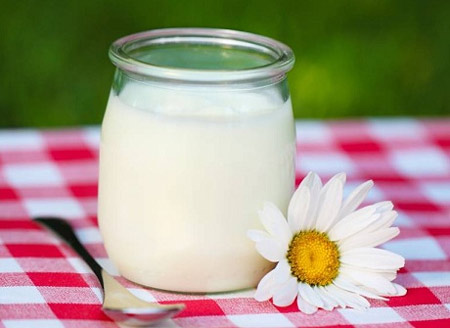 thực phẩm sữa chua giúp giảm stress, căng thẳng