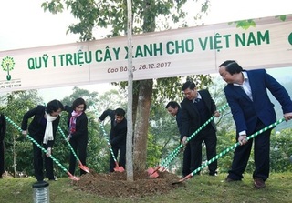 “Quỹ 1 triệu cây xanh” của Vinamilk ngược đến Cao Bằng