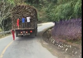 Hãi hùng clip nhóm trẻ con đu bám sau xe tải để trộm mía ở Nghệ An
