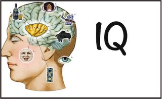 Những sự thật thú vị ít biết về chỉ số IQ của con người