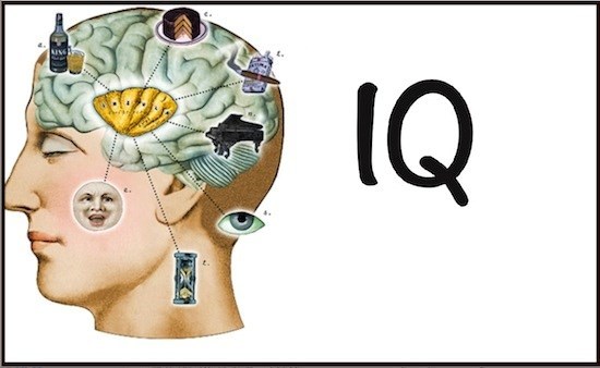Chỉ số IQ của con người phụ thuộc nhiều vào giáo dục