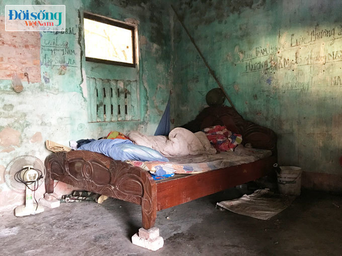 Nam Định: Xót thương mẹ già nhiều năm vò võ nuôi 2 con bị bệnh tâm thần 6