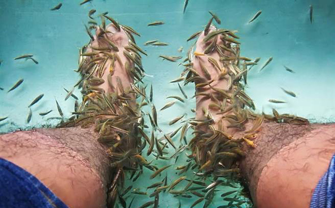10 năm không rửa chân, vừa thả chân vào nước người đàn ông khiến cá chết hàng loạt