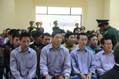 Xét xử 21 bị cáo vụ phá rừng pơ mu ở Quảng Nam 