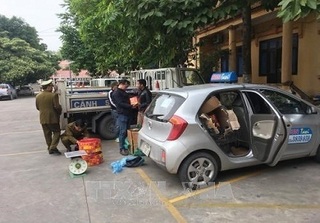 Thanh Hóa: Bắt xe taxi vận chuyển 30kg thuốc và kíp nổ