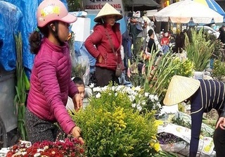 Người bán hoa khóc ròng vì khách đợi 30 Tết mới… “chơi” hoa