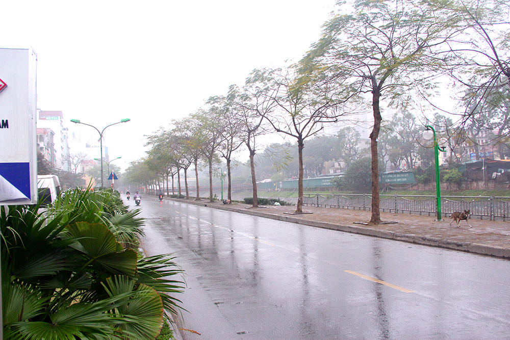 ​Sáng mùng 1 Tết, tại Hà Nội có mưa xuân lất phất, trời hửng sáng khá muộn khác hẳn với ngày thường, ảnh chụp tại đường ven sông Tô Lịch