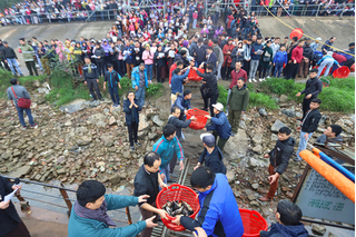 Hơn 5 tấn cá được thả trong Lễ phóng sinh lớn nhất Hà Nội