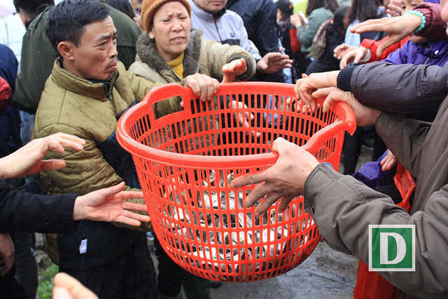 Hơn 5 tấn cá được thả trong Lễ phóng sinh lớn nhất Hà Nội