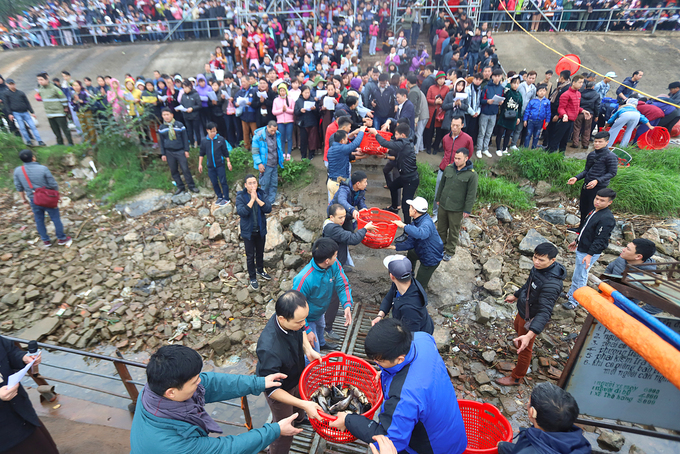 Hơn 5 tấn cá được thả trong Lễ phóng sinh lớn nhất Hà Nội