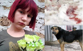 Bàng hoàng: Bé gái 12 tuổi tử vong vì bị đàn chó hoang tấn công