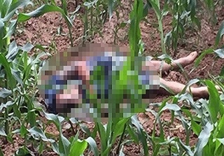 Nam thanh niên tử vong dưới ruộng ngô: Nghi phạm ra đầu thú
