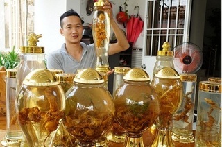 Quảng Nam dự kiến dâng rượu sâm Ngọc Linh lên các Vua Hùng