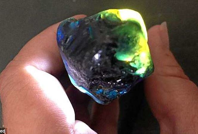 Nhặt được đá sapphire trị giá 30.000 USD trong lúc đi dạo