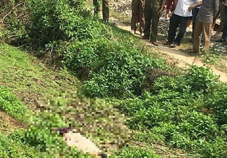 Thanh niên chết cạnh đường tàu, nghi bị người tình của mẹ đâm chết