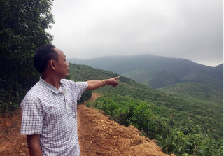 Nghệ An: Chính quyền sai sót, nhiều hộ dân trắng tay sau hơn chục năm 'còng lưng' giữ rừng