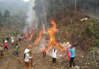 Thái Nguyên: 3 người thương vong do đốt thực bì trồng rừng