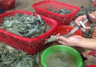 Quảng Ninh: Bắt giữ 360 kg chất phụ gia, có nguồn gốc xuất xứ từ Trung Quốc