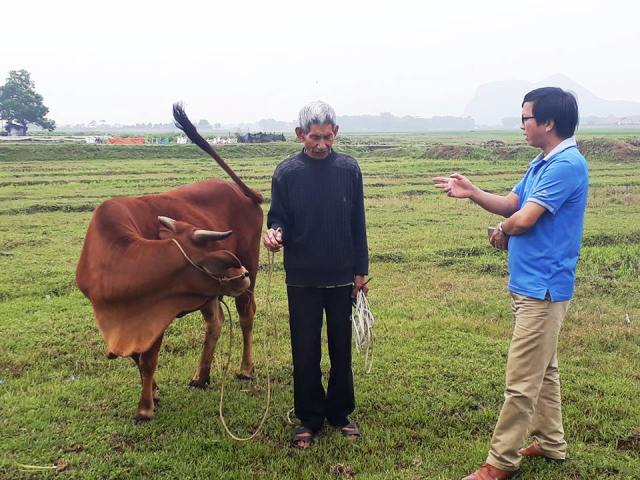Chuyện động trời ở Thanh Hóa: Chăn thả trâu bò phải nộp phí cỏ