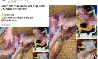 Đôi vợ chồng người Việt ngang nhiên bán thịt chó online tại Malaysia