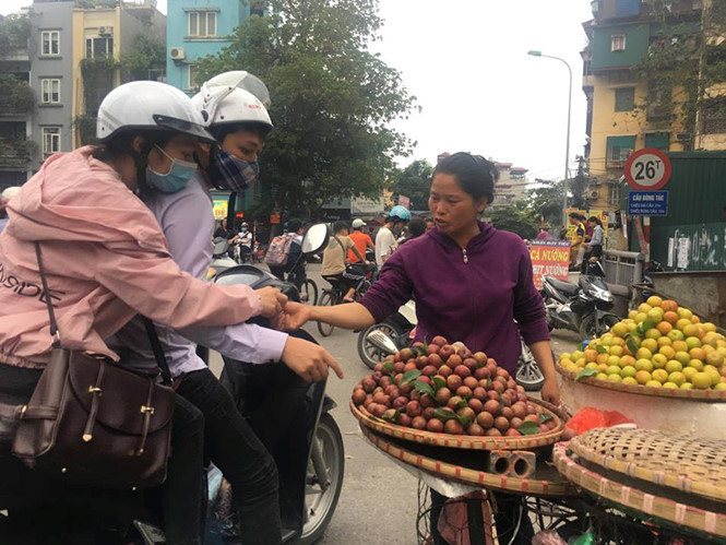 Mận hậu mất mùa