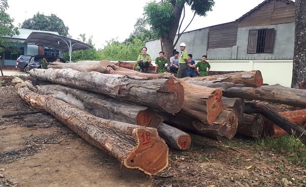 Vụ bắt gỗ lậu tại Đắk Lắk