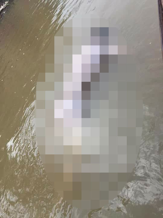 Hoảng hốt phát hiện người đàn ông tử vong dưới sông Hồng