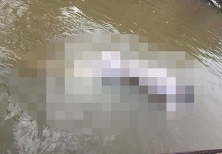 Hà Nội: Phát hiện thi thể người đàn ông nổi giữa sông Hồng