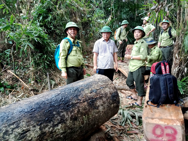 Kiểm lâm nghỉ việc nhiều là do sức khỏe, nghỉ chế độ