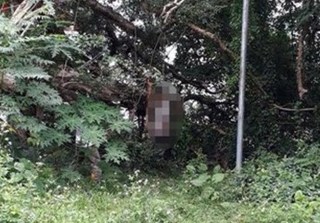 Phú Thọ: Người đàn ông treo cổ tự tử vì bị nghi ăn trộm điện thoại