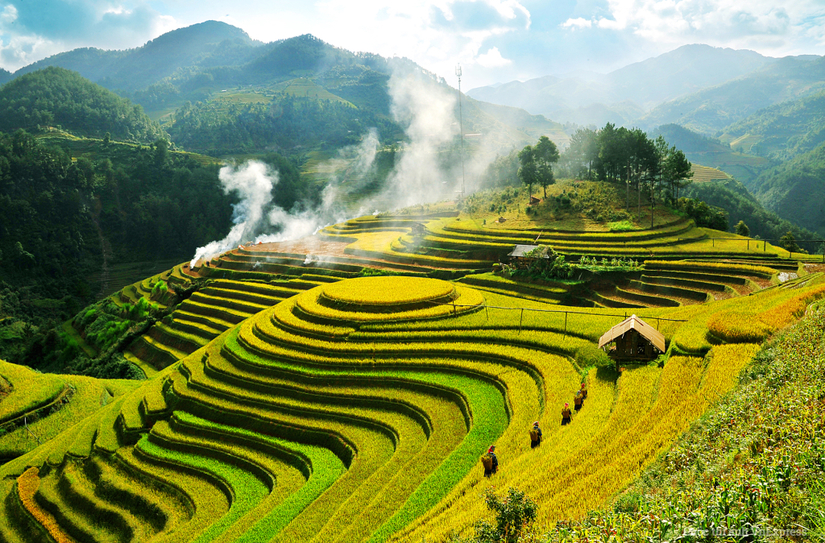 Danh thắng Mù Cang Chải 'kêu cứu' vì triển lãm giữa đồi mâm xôi