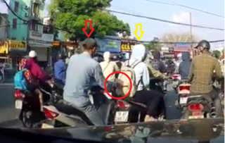 Video: Ngang nhiên móc túi người đi đường khi dừng đèn đỏ