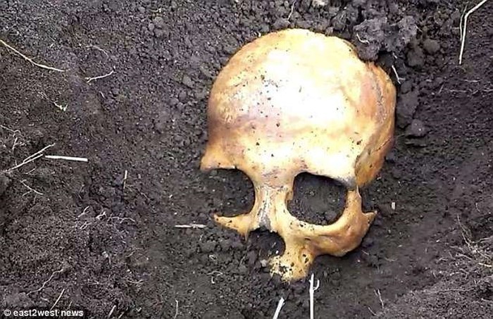 Đào thấy hộp sọ khi làm vườn, cụ ông chết lặng khi biết đó là chồng cũ của vợ